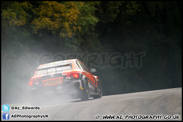 BTCC_and_Support_Brands_Hatch_201012_AE_093.jpg