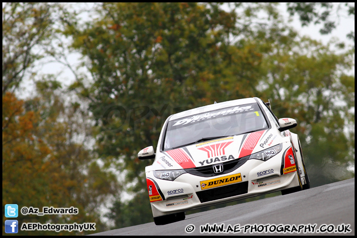 BTCC_and_Support_Brands_Hatch_201012_AE_096.jpg