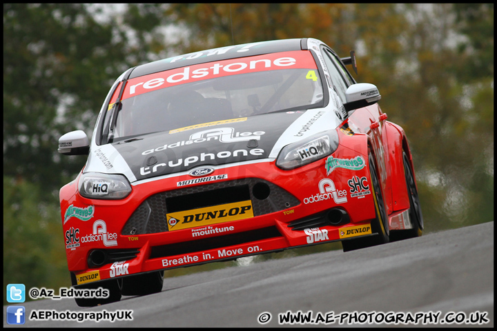 BTCC_and_Support_Brands_Hatch_201012_AE_098.jpg