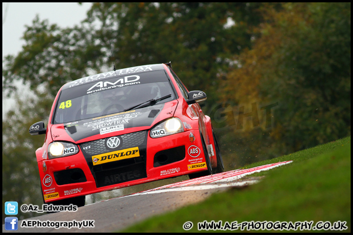 BTCC_and_Support_Brands_Hatch_201012_AE_100.jpg