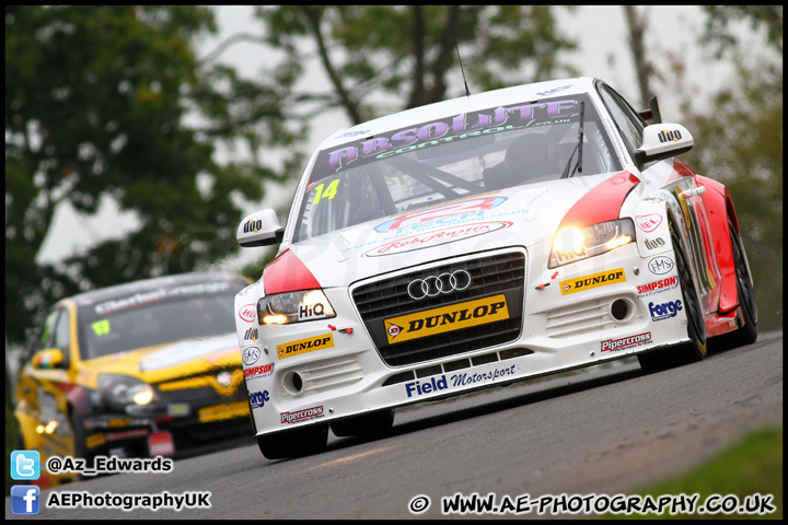 BTCC_and_Support_Brands_Hatch_201012_AE_101.jpg