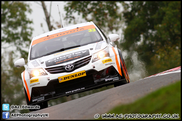 BTCC_and_Support_Brands_Hatch_201012_AE_102.jpg