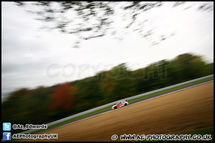 BTCC_and_Support_Brands_Hatch_201012_AE_103.jpg