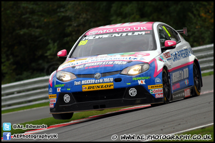 BTCC_and_Support_Brands_Hatch_201012_AE_111.jpg