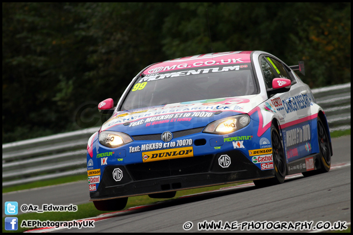 BTCC_and_Support_Brands_Hatch_201012_AE_113.jpg