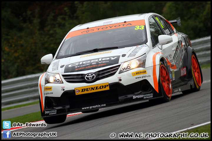 BTCC_and_Support_Brands_Hatch_201012_AE_118.jpg