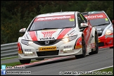 BTCC_and_Support_Brands_Hatch_201012_AE_120