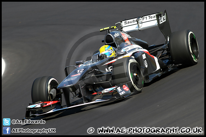 F1_Hungary_2013_AE_028.jpg
