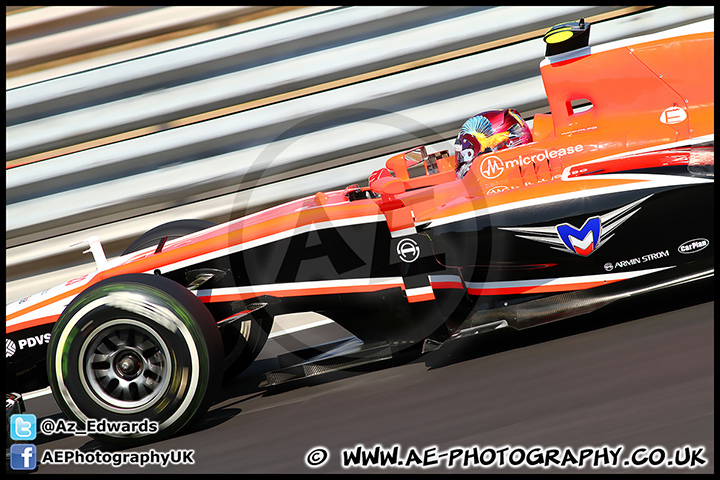 F1_Hungary_2013_AE_030.jpg