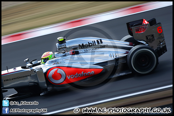 F1_Hungary_2013_AE_084.jpg