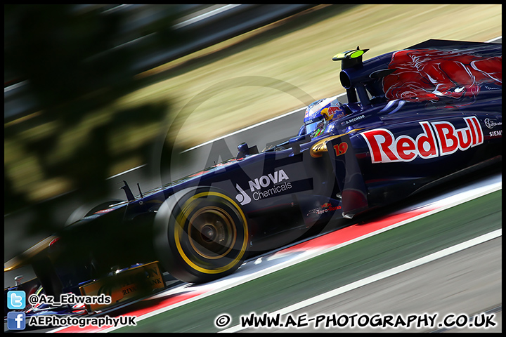 F1_Hungary_2013_AE_099.jpg