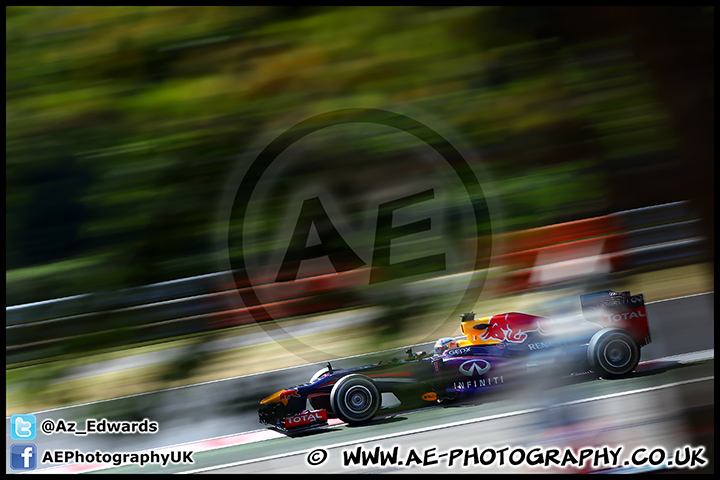 F1_Hungary_2013_AE_106.jpg