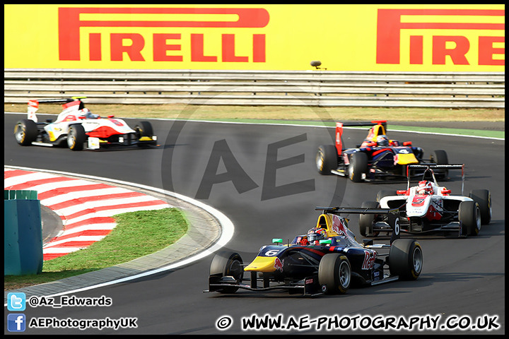F1_Hungary_2013_AE_166.jpg