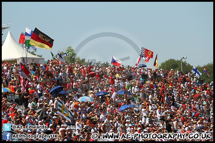 F1_Hungary_2013_AE_177.jpg