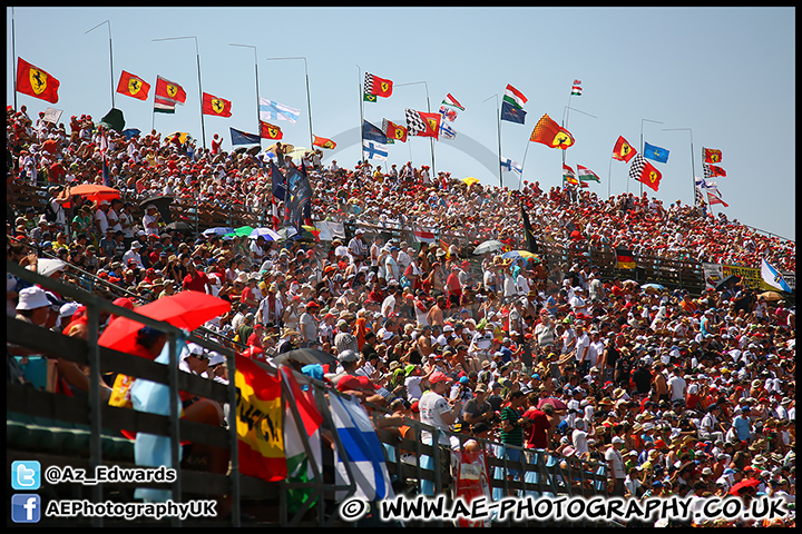 F1_Hungary_2013_AE_184.jpg