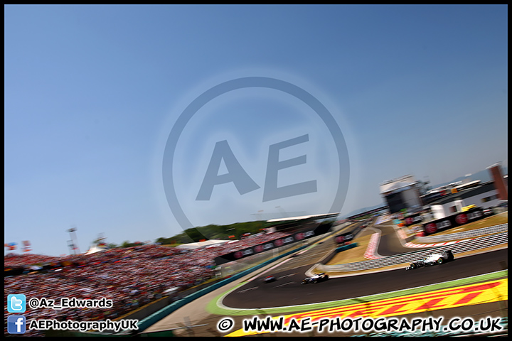 F1_Hungary_2013_AE_199.jpg
