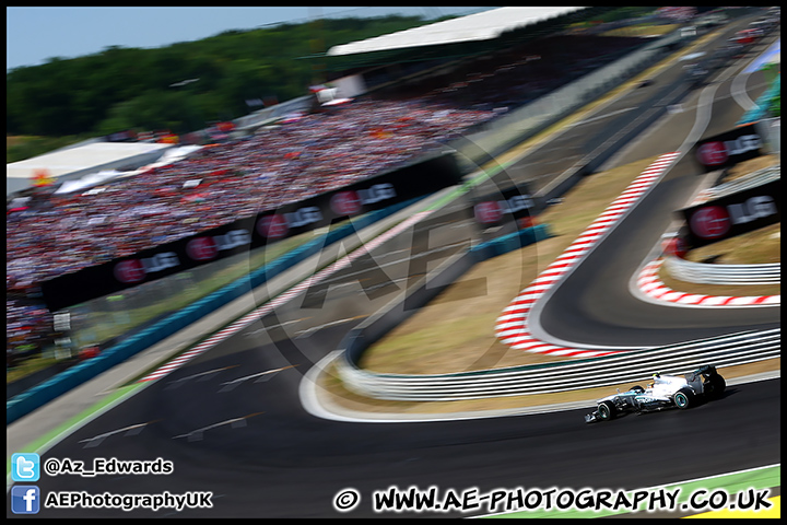 F1_Hungary_2013_AE_207.jpg