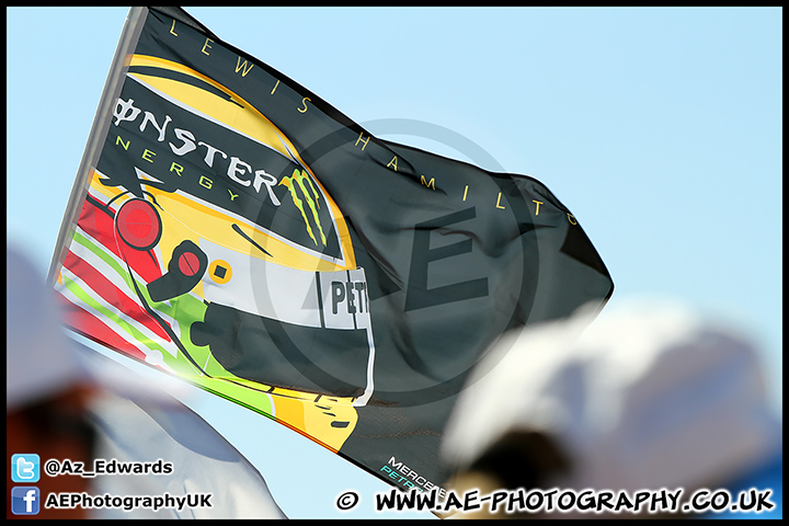 F1_Hungary_2013_AE_210.jpg