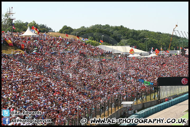 F1_Hungary_2013_AE_215.jpg