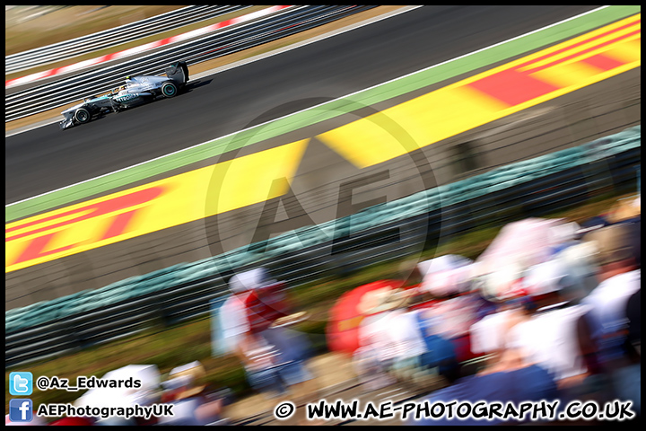 F1_Hungary_2013_AE_227.jpg