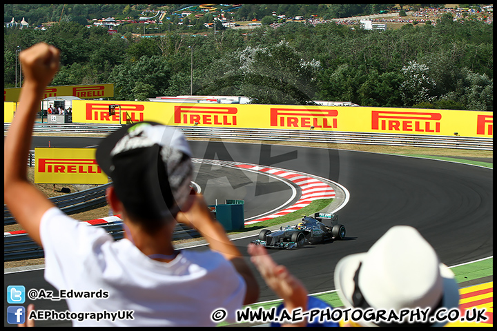 F1_Hungary_2013_AE_231.jpg