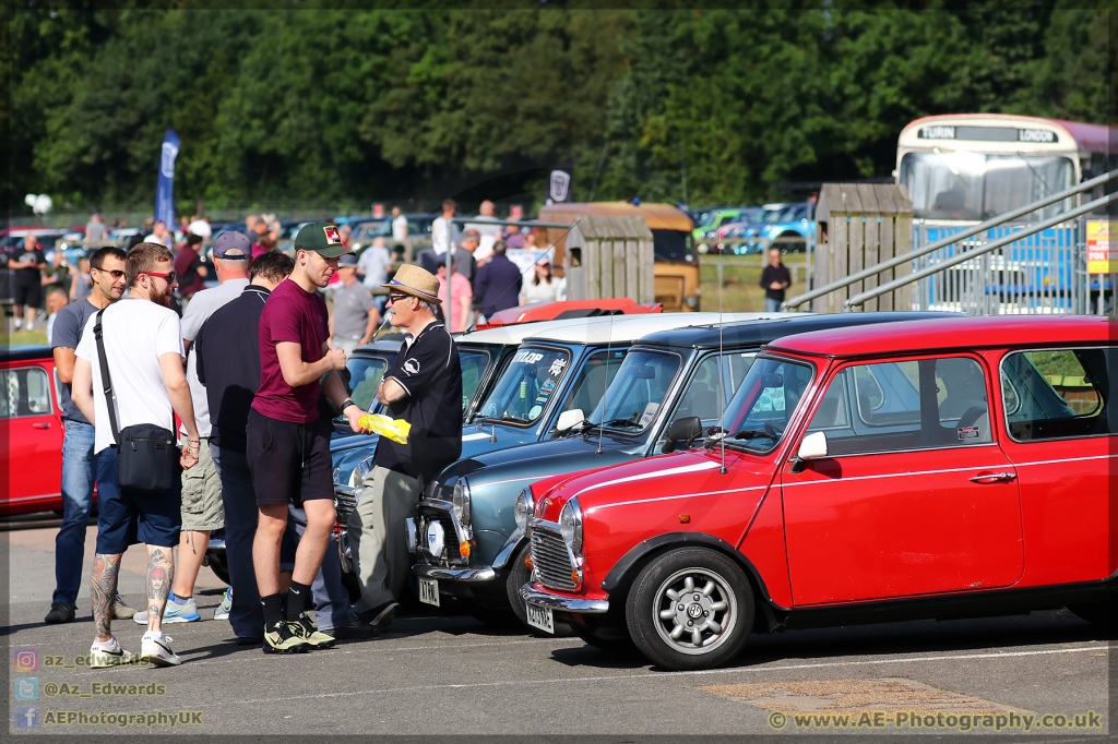 Mini_Festival_Brands_Hatch_21-07-2019_AE_001.jpg