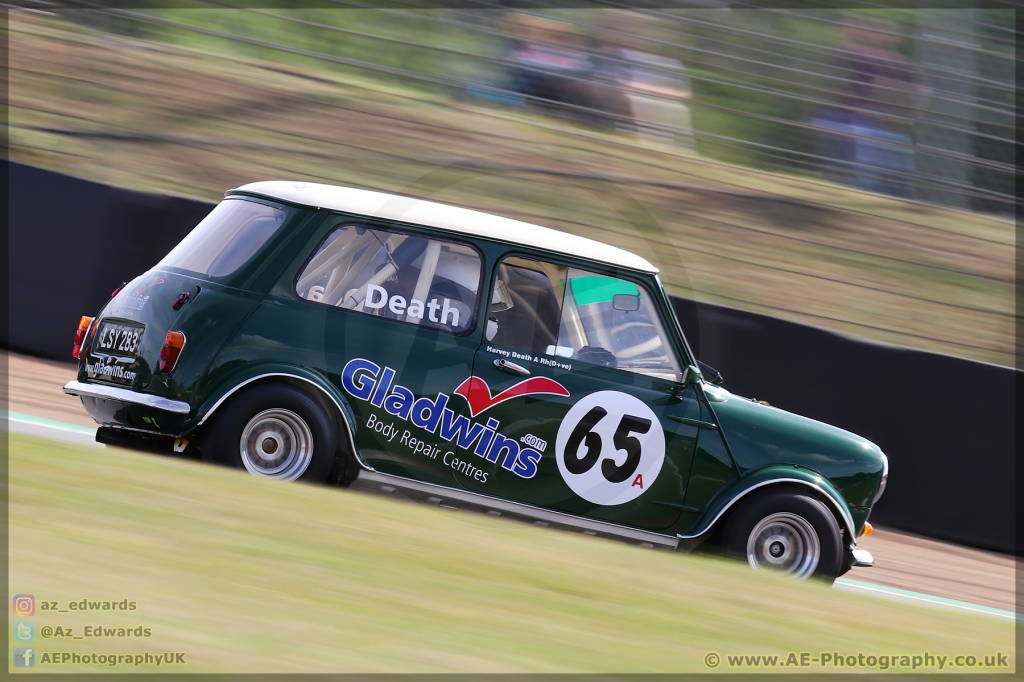 Mini_Festival_Brands_Hatch_21-07-2019_AE_009.jpg