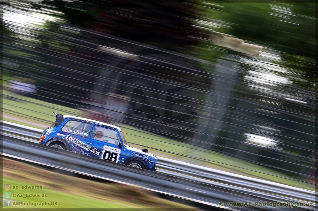 Mini_Festival_Brands_Hatch_21-07-2019_AE_014.jpg