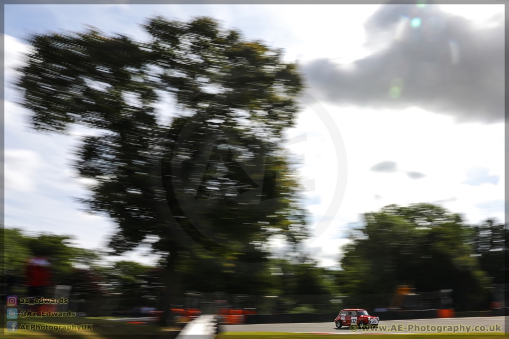 Mini_Festival_Brands_Hatch_21-07-2019_AE_015.jpg