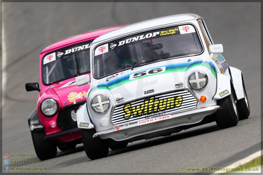 Mini_Festival_Brands_Hatch_21-07-2019_AE_034.jpg