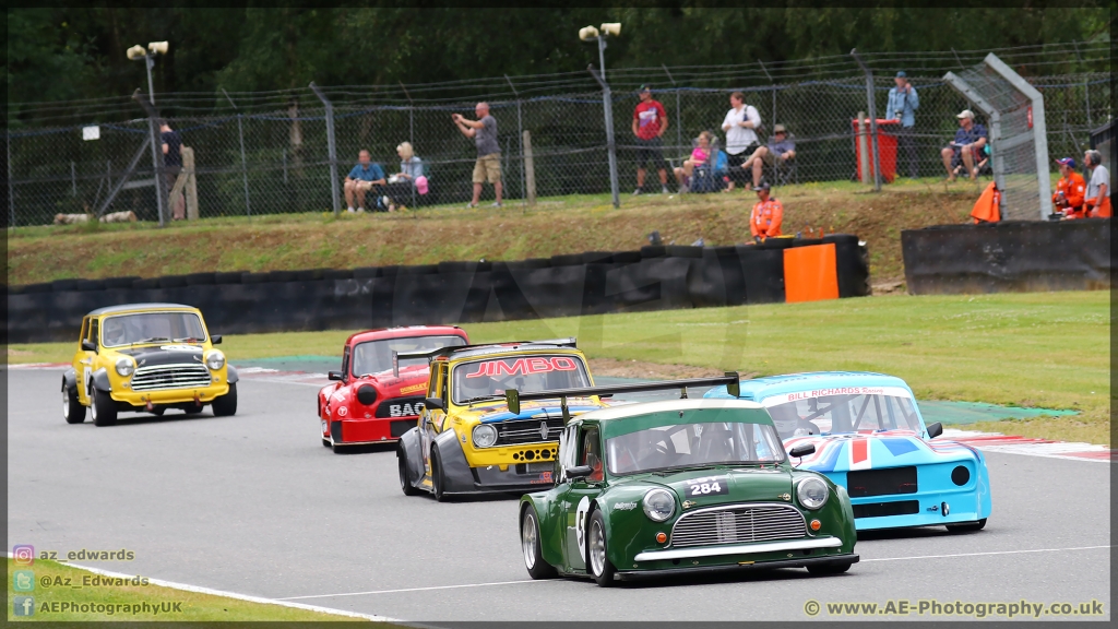 Mini_Festival_Brands_Hatch_21-07-2019_AE_050.jpg