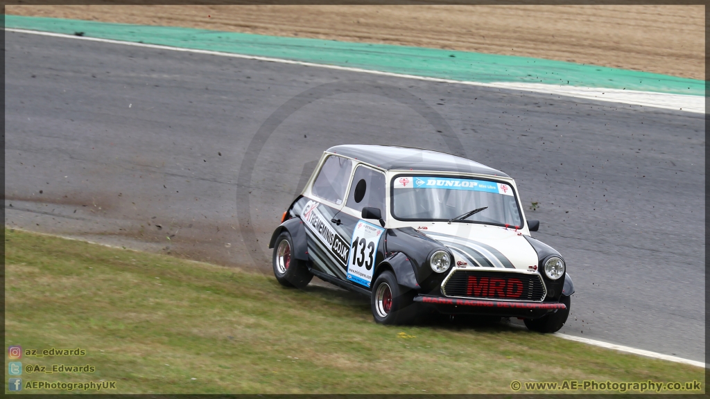 Mini_Festival_Brands_Hatch_21-07-2019_AE_051.jpg