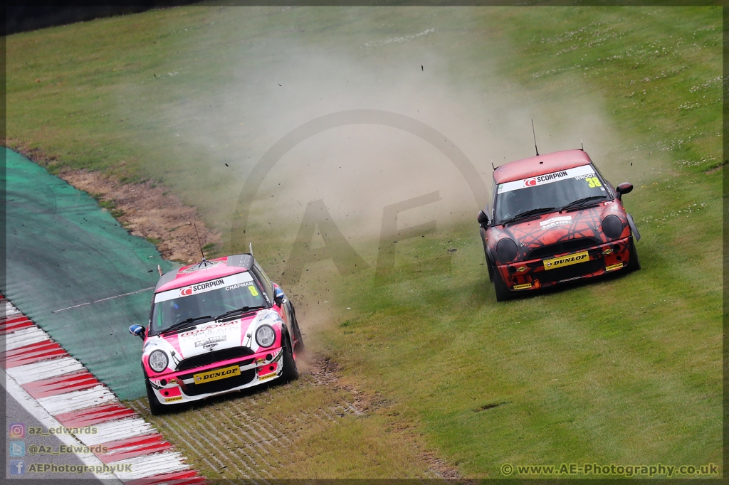 Mini_Festival_Brands_Hatch_21-07-2019_AE_063.jpg