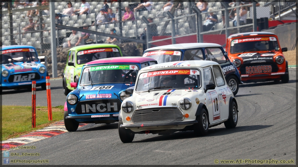 Mini_Festival_Brands_Hatch_21-07-2019_AE_113.jpg