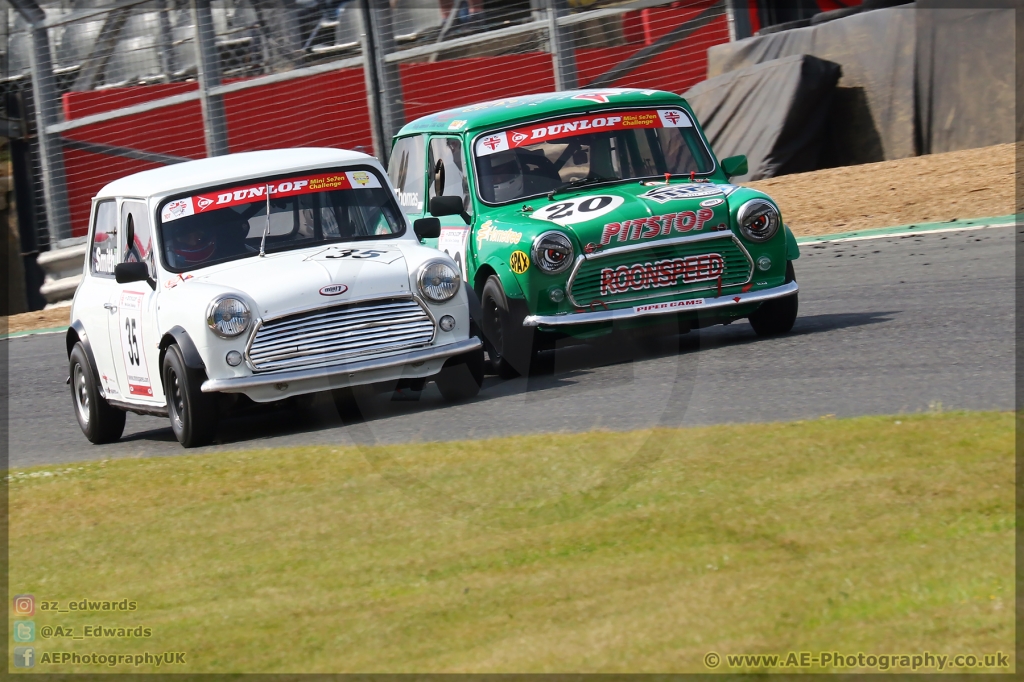 Mini_Festival_Brands_Hatch_21-07-2019_AE_115.jpg