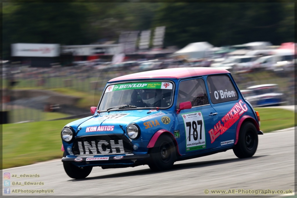 Mini_Festival_Brands_Hatch_21-07-2019_AE_121.jpg