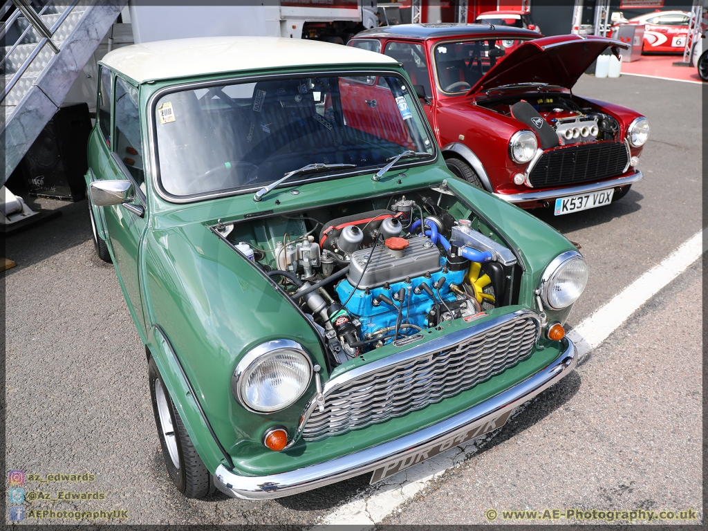 Mini_Festival_Brands_Hatch_21-07-2019_AE_122.jpg