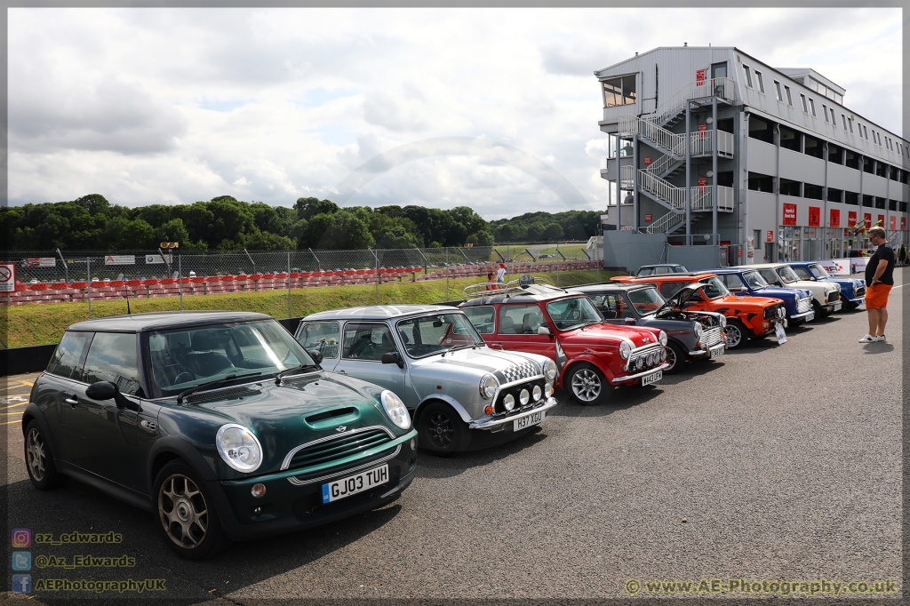 Mini_Festival_Brands_Hatch_21-07-2019_AE_123.jpg