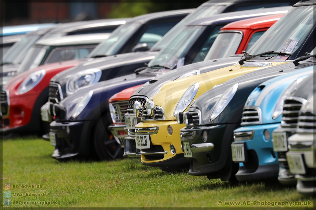 Mini_Festival_Brands_Hatch_21-07-2019_AE_130.jpg