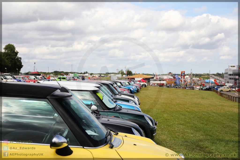 Mini_Festival_Brands_Hatch_21-07-2019_AE_135.jpg