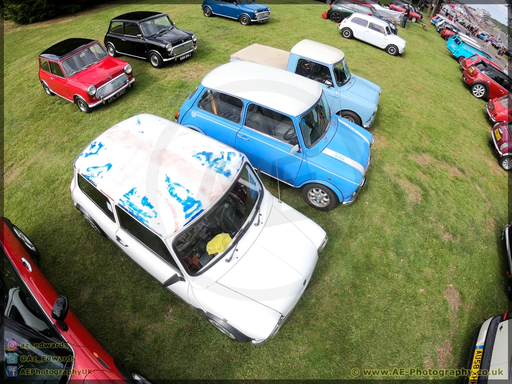 Mini_Festival_Brands_Hatch_21-07-2019_AE_141.jpg