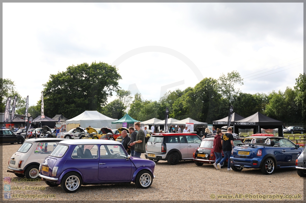 Mini_Festival_Brands_Hatch_21-07-2019_AE_162.jpg