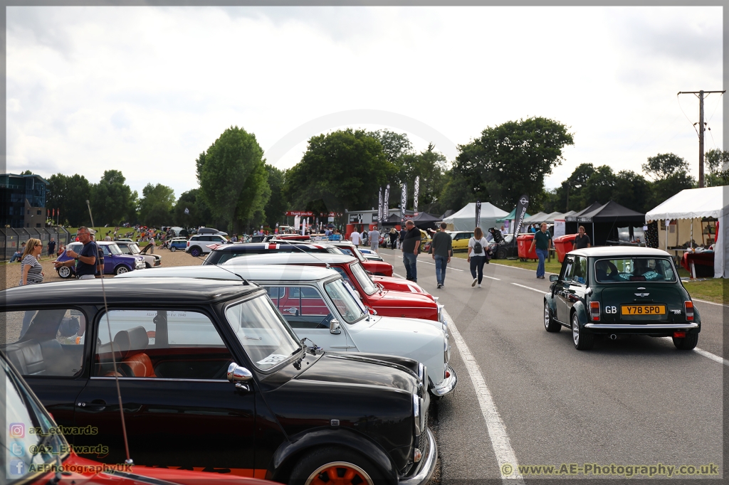 Mini_Festival_Brands_Hatch_21-07-2019_AE_163.jpg