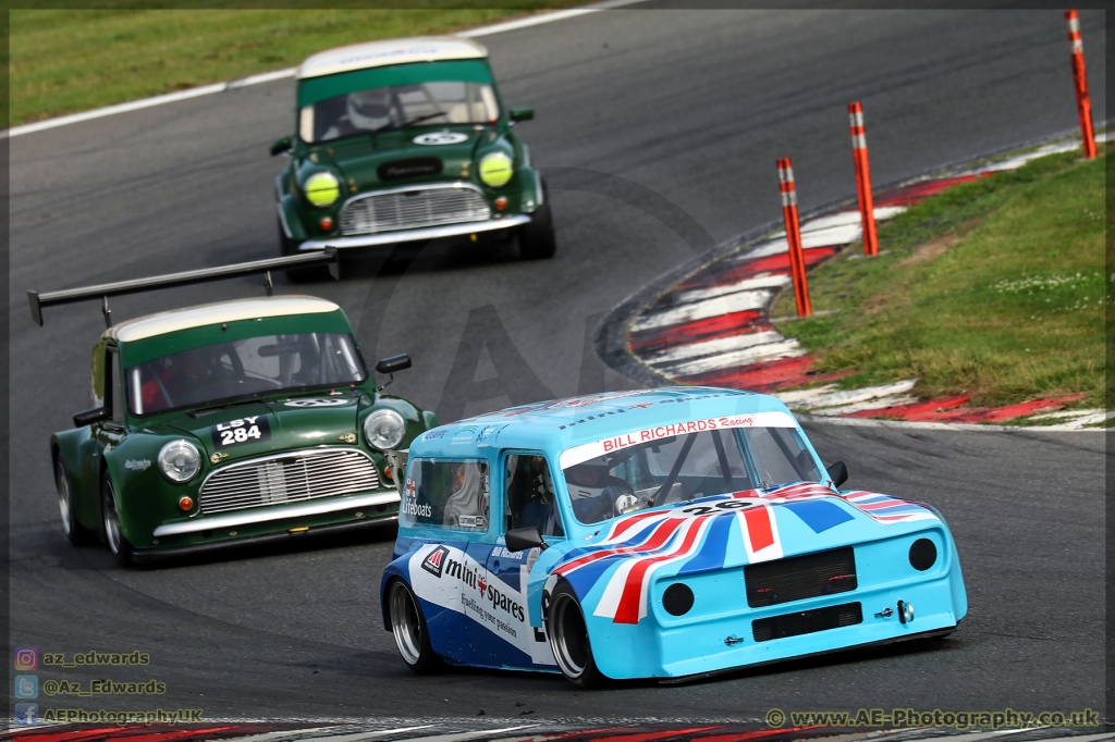 Mini_Festival_Brands_Hatch_21-07-2019_AE_173.jpg