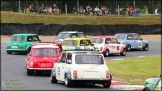 Mini_Festival_Brands_Hatch_21-07-2019_AE_032