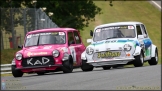 Mini_Festival_Brands_Hatch_21-07-2019_AE_039