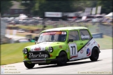 Mini_Festival_Brands_Hatch_21-07-2019_AE_119