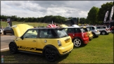 Mini_Festival_Brands_Hatch_21-07-2019_AE_154