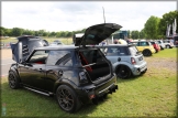 Mini_Festival_Brands_Hatch_21-07-2019_AE_157
