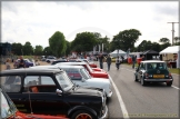 Mini_Festival_Brands_Hatch_21-07-2019_AE_163